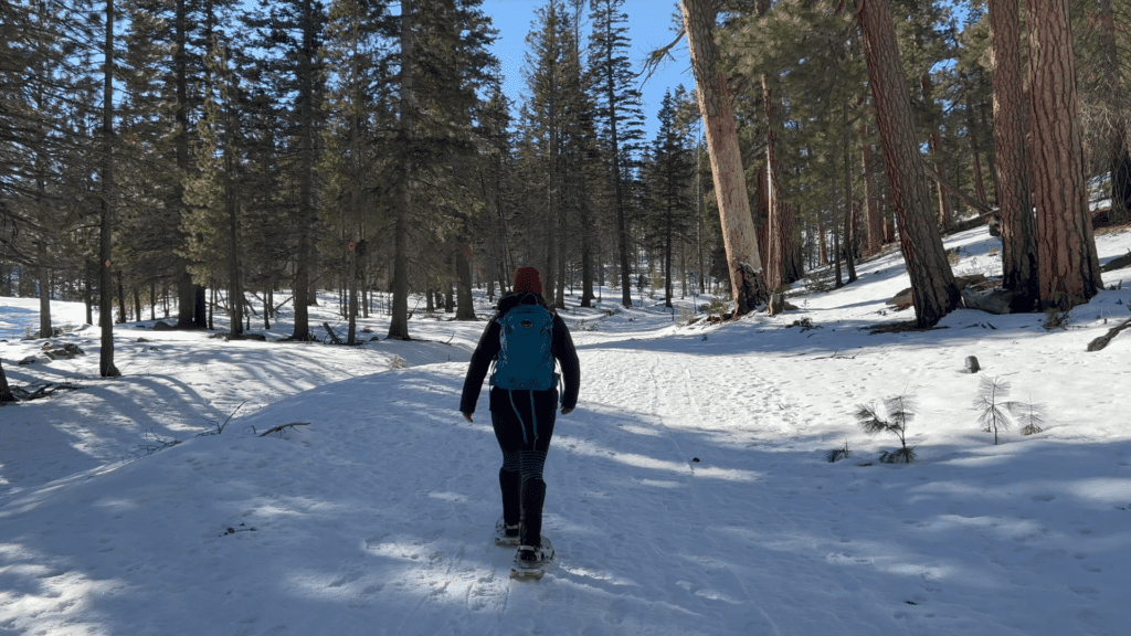 Snowshoeing