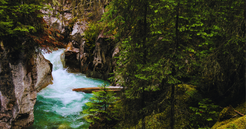 Johnston Canyon