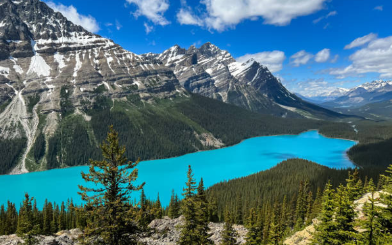 Peyto Lake and Bow Summit Outlook