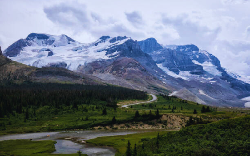 The Majestic Columbia Icefield