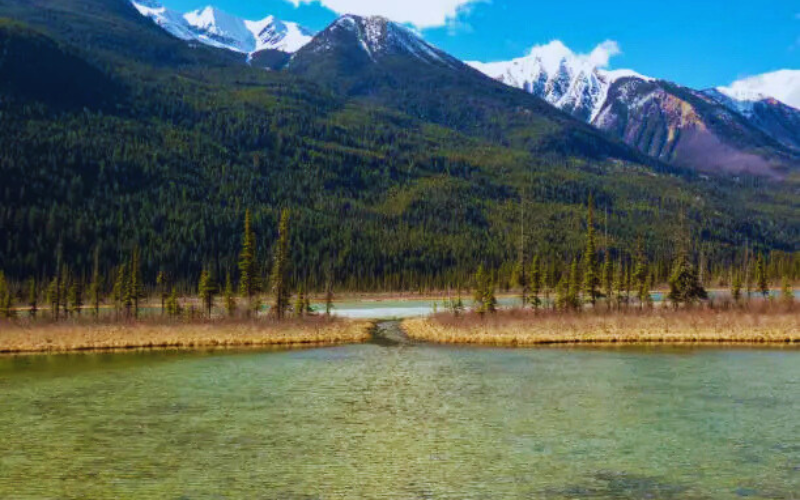 Banff Thompson River