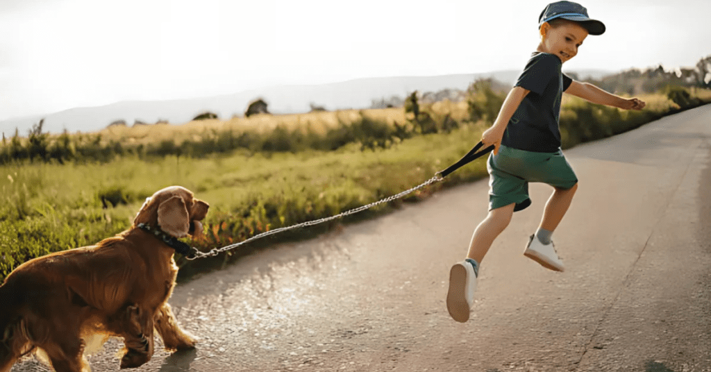 Dog-Friendly Trails and Activities