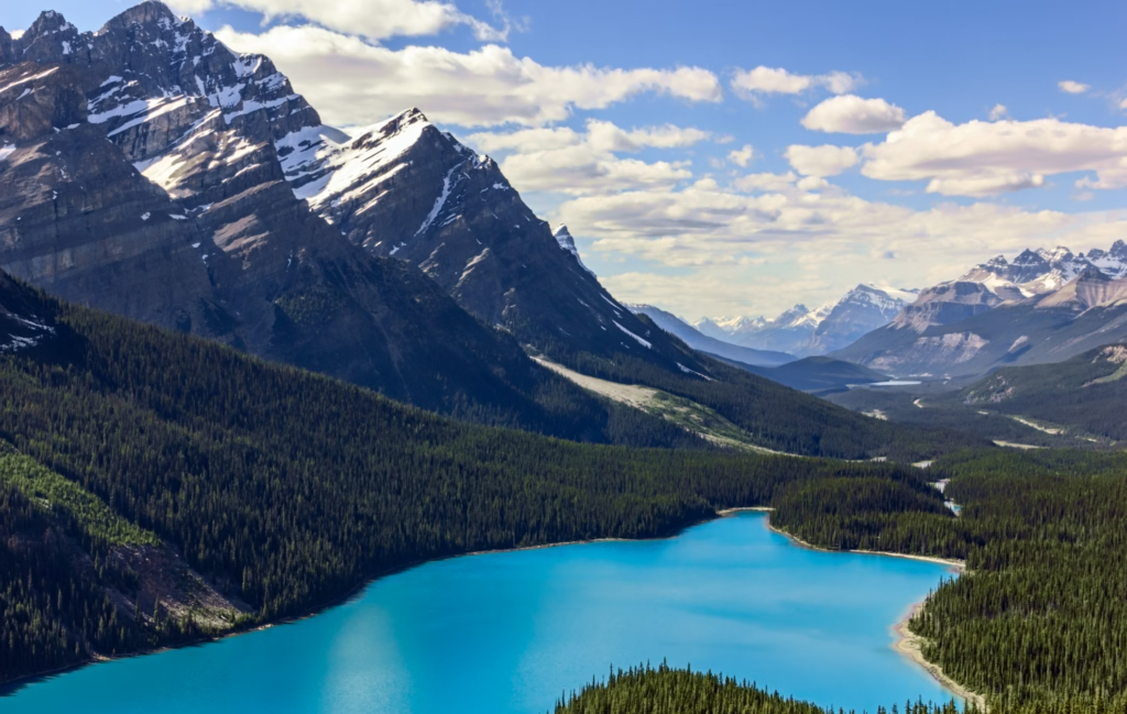 Peyto lake