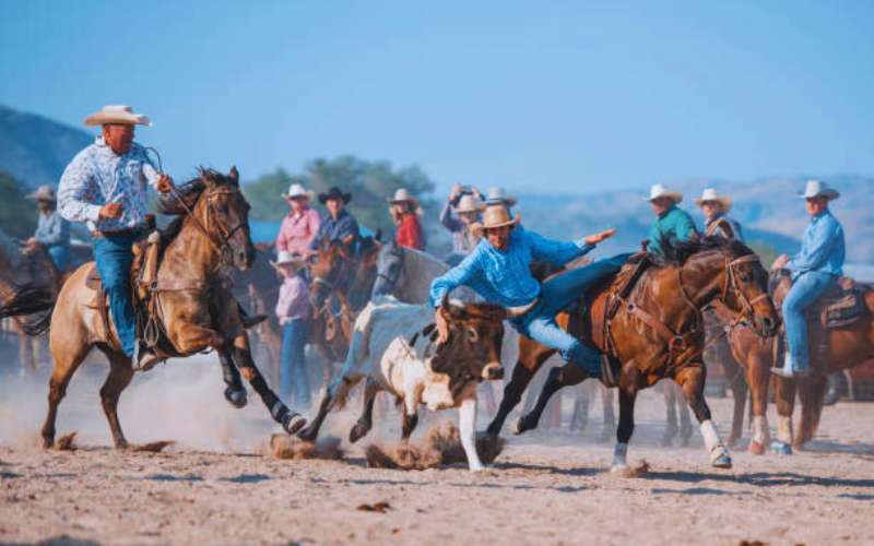 Festival Rodeo Extravaganza