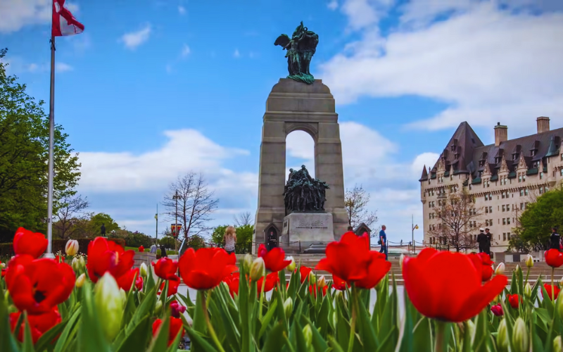 Festival Tulip Legacy Exhibition